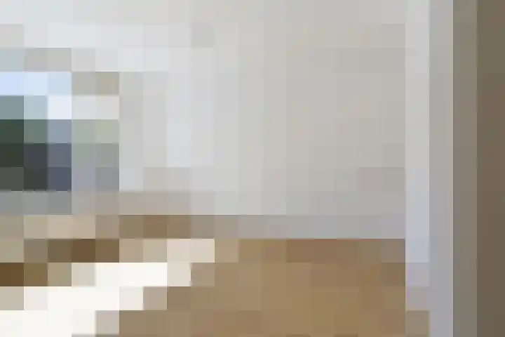 Bosrank 32 Heiloo thumbnail 7
