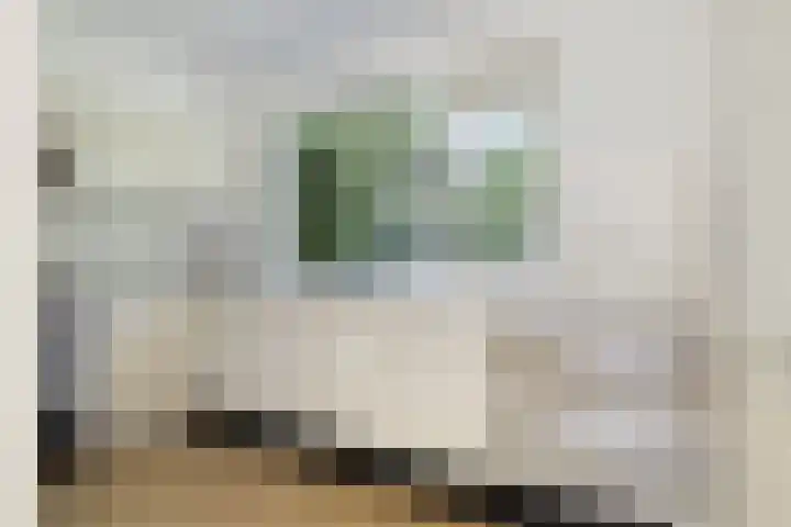 Bosrank 32 Heiloo thumbnail 9