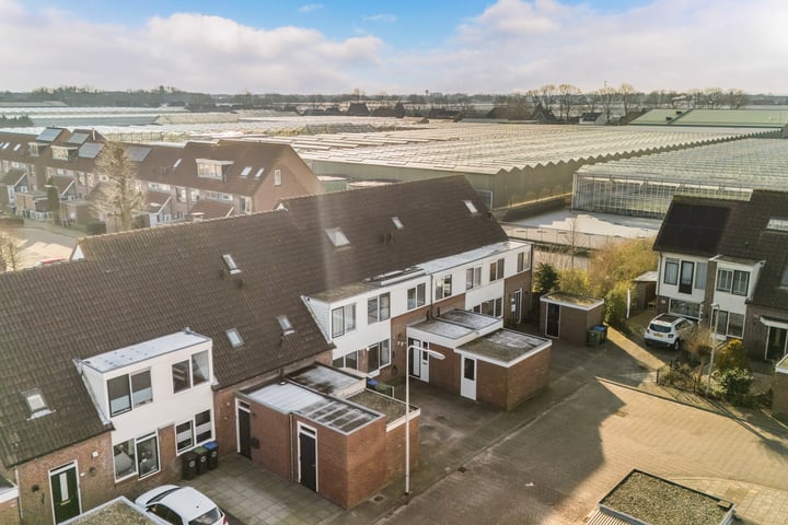 Bosrank 35 dans Oude Wetering photo