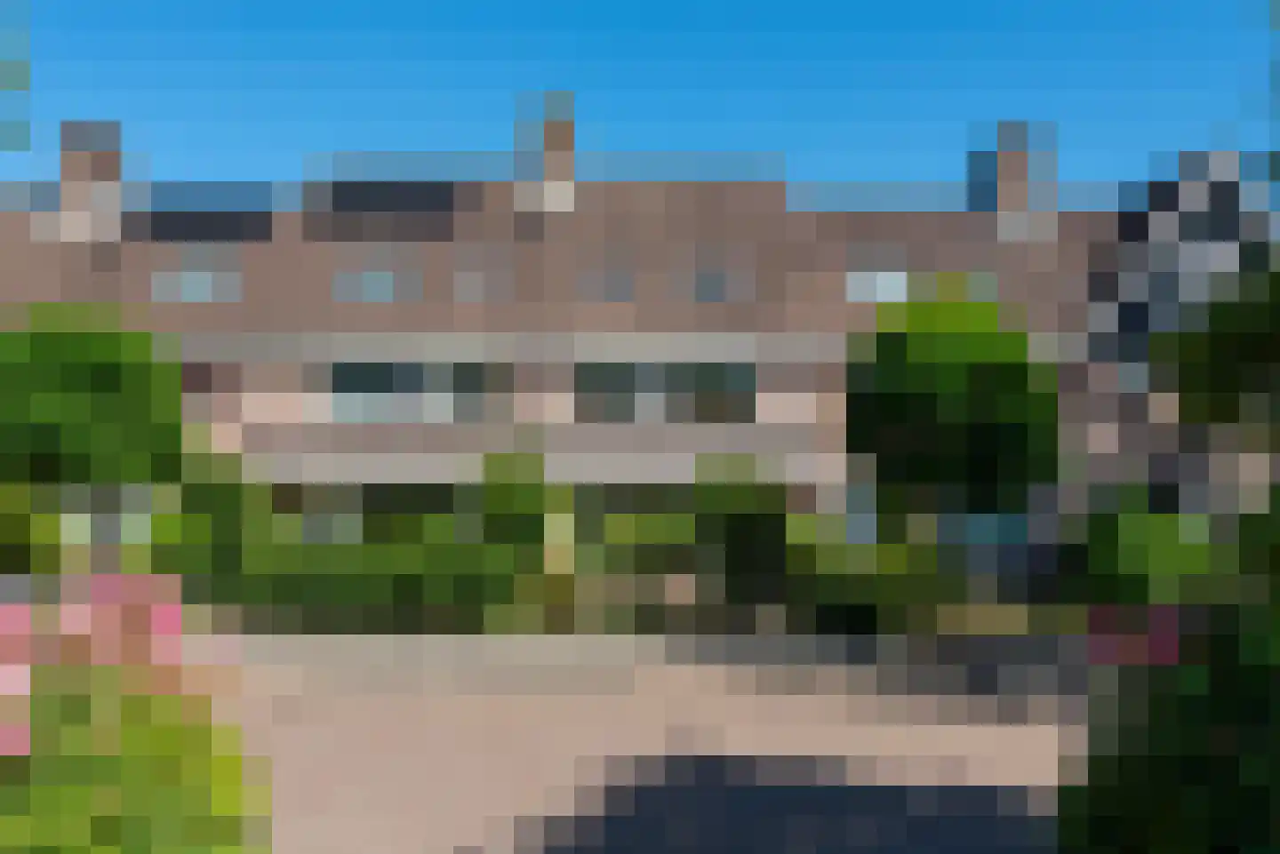 Bosrank 50 in Heiloo