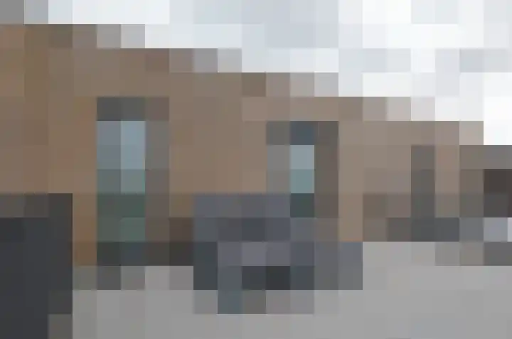 Bosrank 50 Assen thumbnail 29