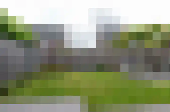 Bosrank 50 Assen thumbnail 34