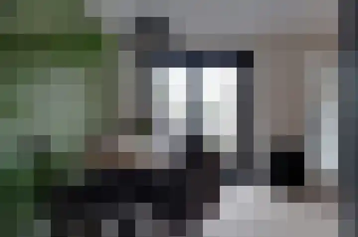 Bosrank 50 Assen thumbnail 8