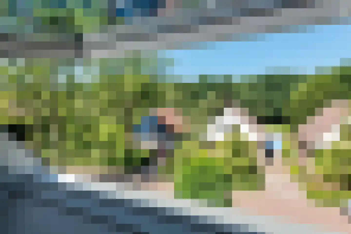 Bosrank 50 Heiloo thumbnail 34