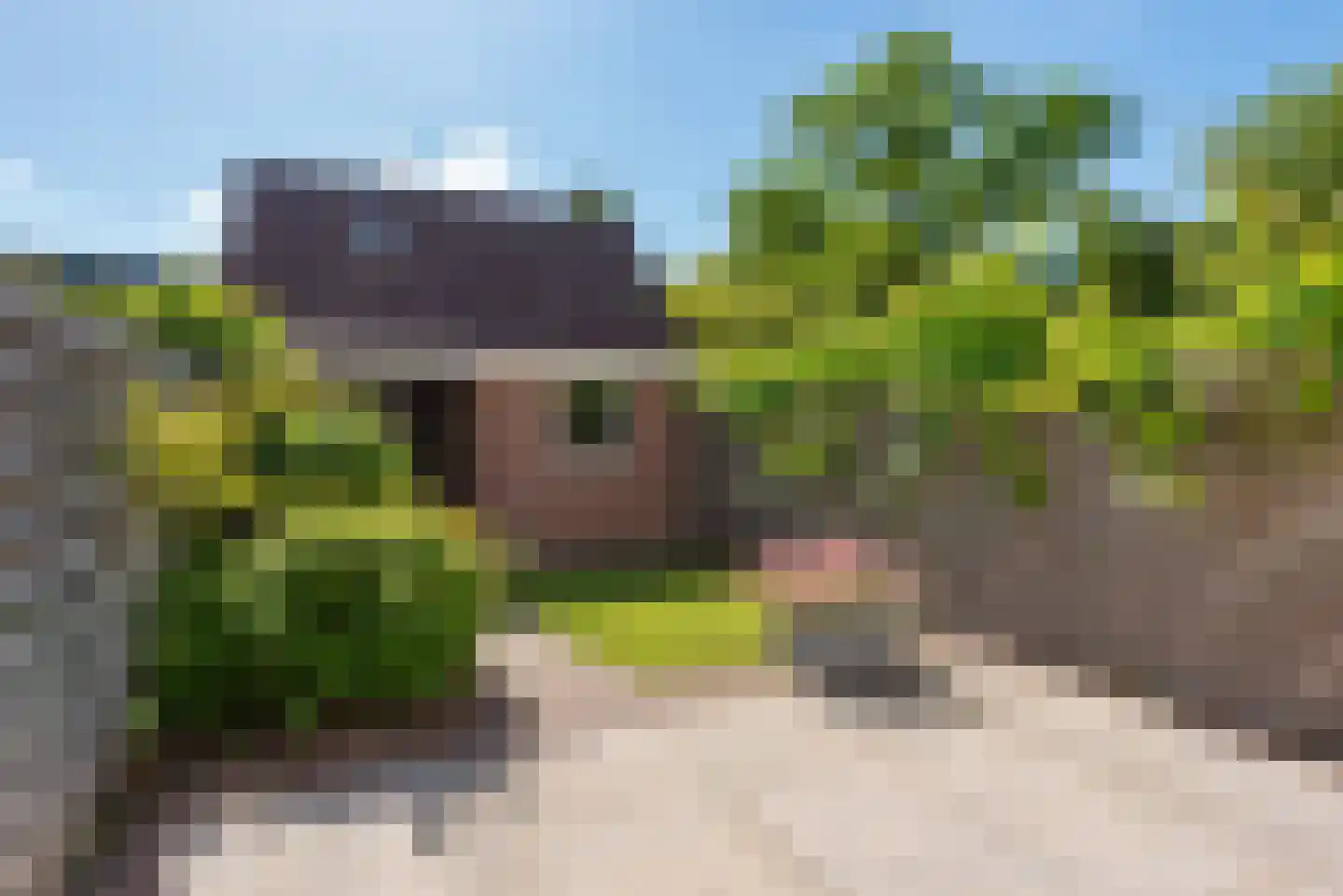 Bosrank 50 Heiloo thumbnail 38