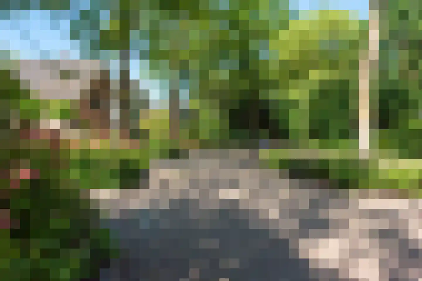 Bosrank 50 Heiloo thumbnail 4