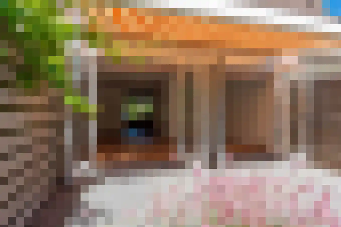 Bosrank 50 Heiloo thumbnail 43