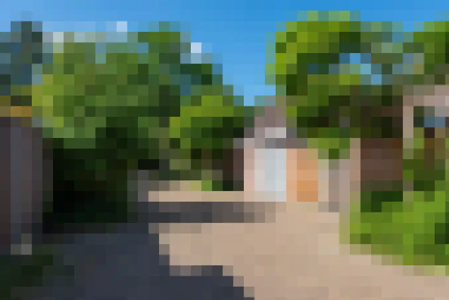 Bosrank 50 Heiloo thumbnail 49