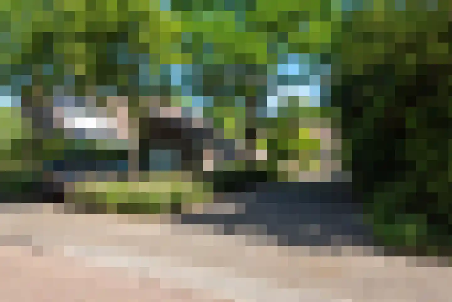 Bosrank 50 Heiloo thumbnail 50