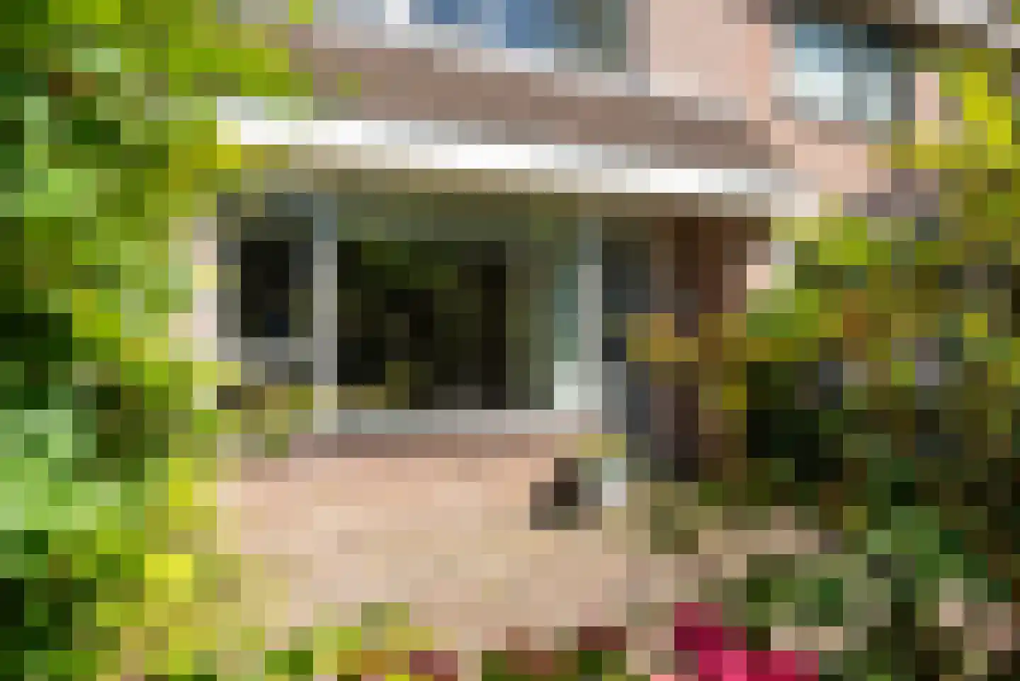 Bosrank 50 Heiloo thumbnail 53