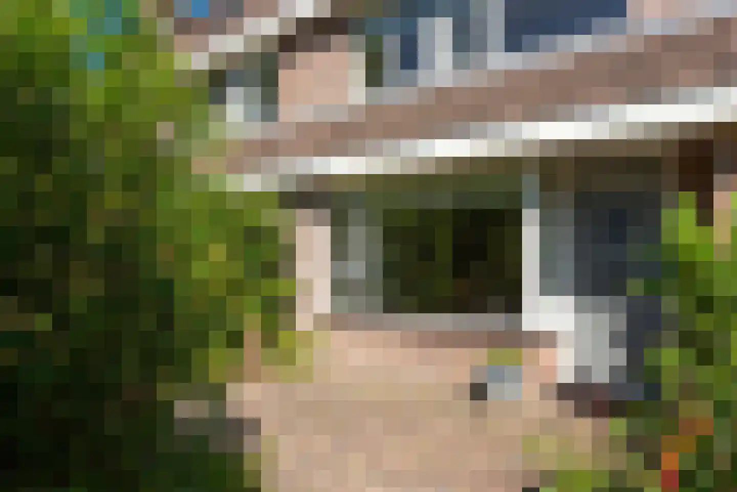 Bosrank 50 Heiloo thumbnail 54