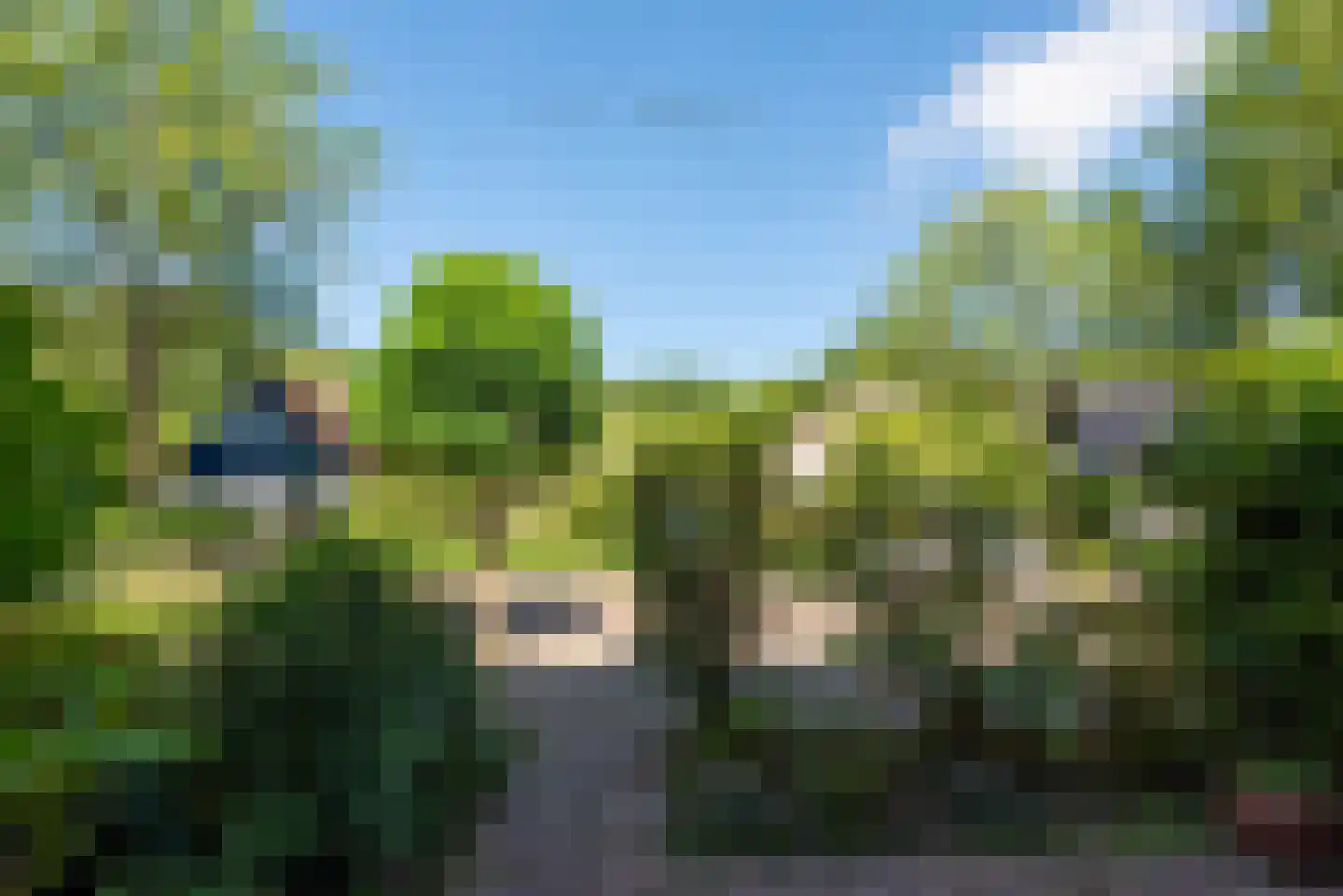 Bosrank 50 Heiloo thumbnail 55