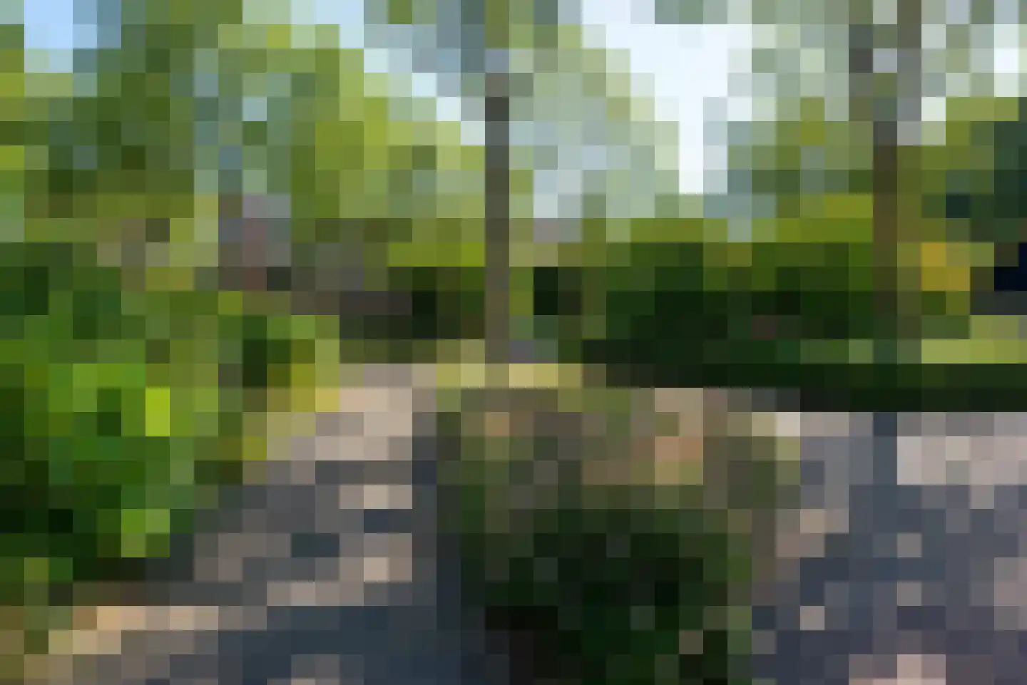 Bosrank 50 Heiloo thumbnail 56