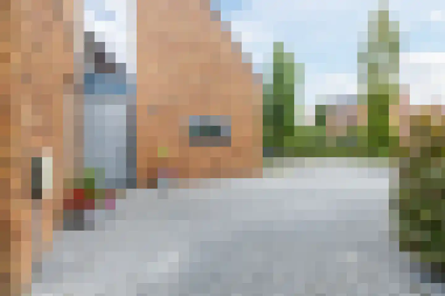 Bosrank 55 Assen thumbnail 10