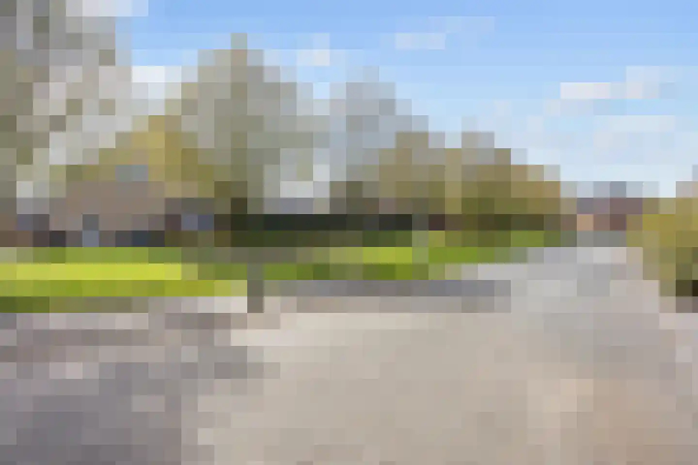 Bosrank 55 Assen thumbnail 10