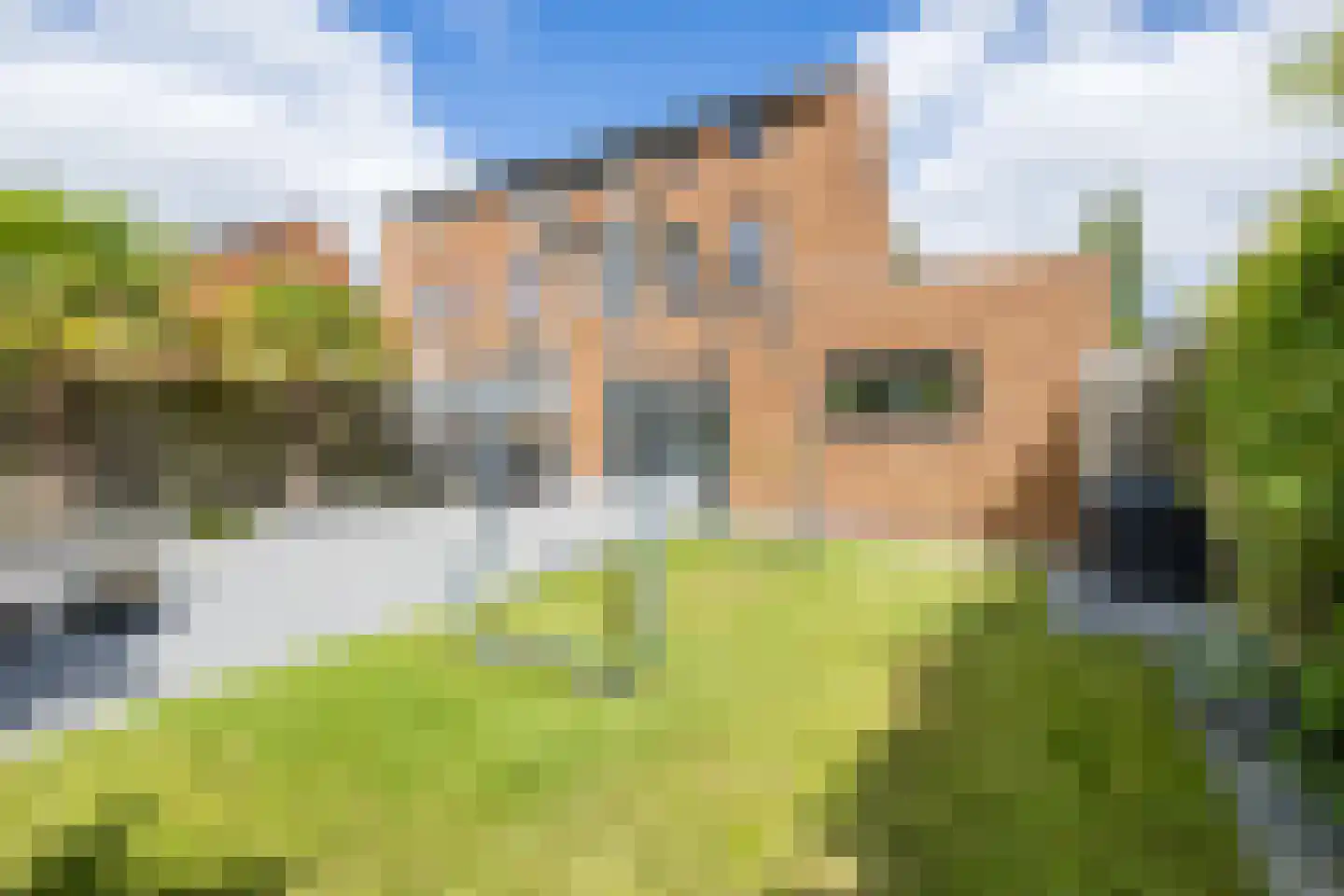 Bosrank 55 Assen thumbnail 14