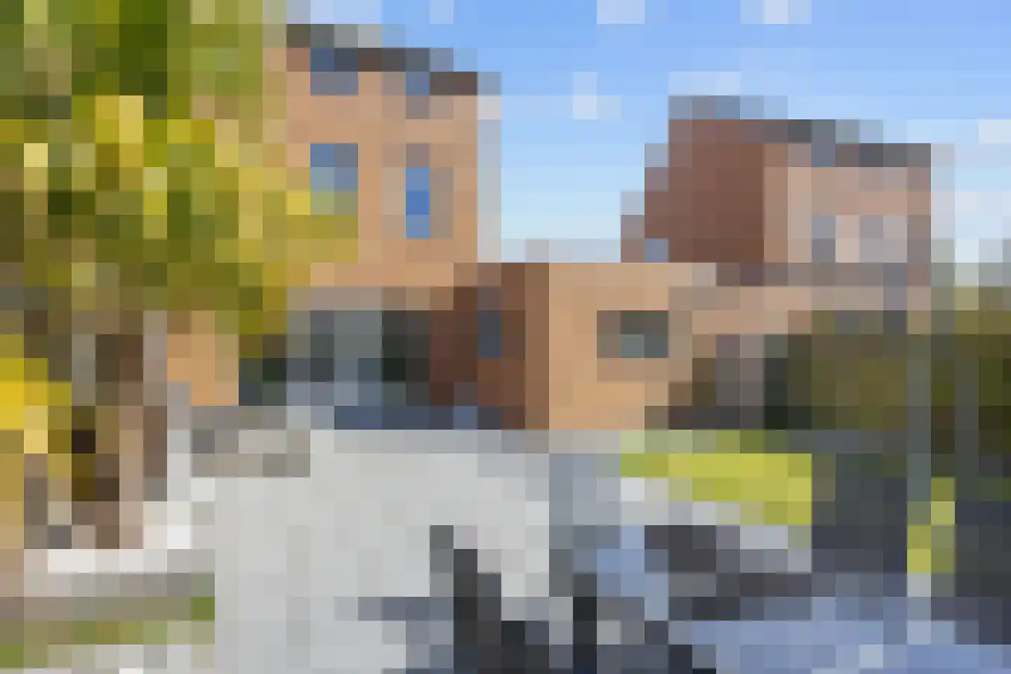 Bosrank 55 Assen thumbnail 5