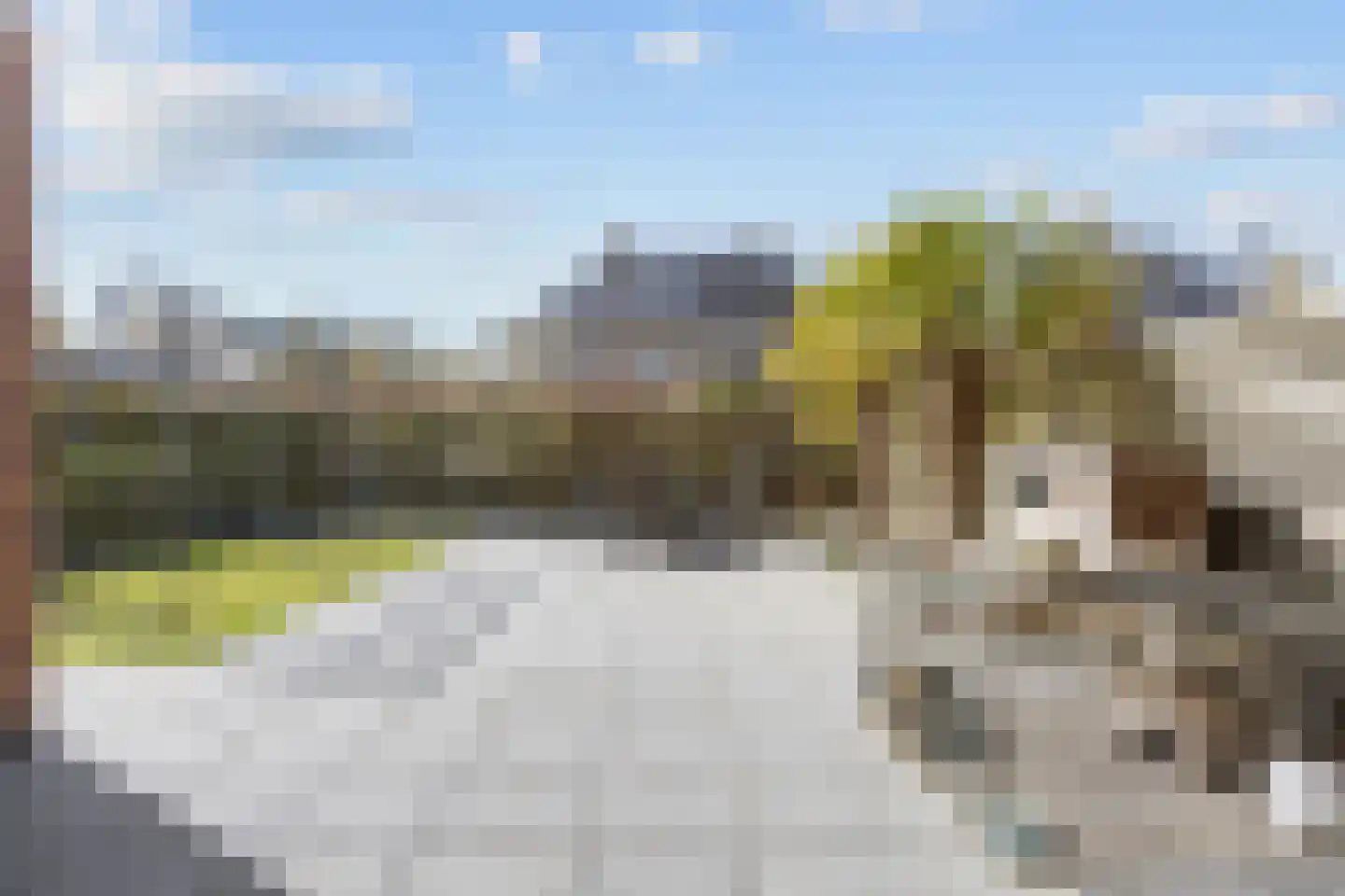 Bosrank 55 Assen thumbnail 58