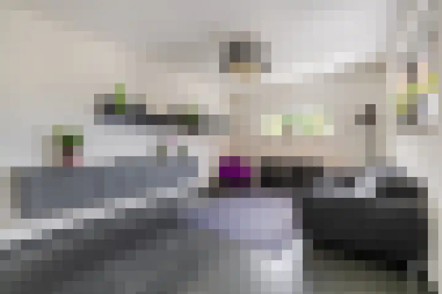 Bosrank 55 Assen thumbnail 6