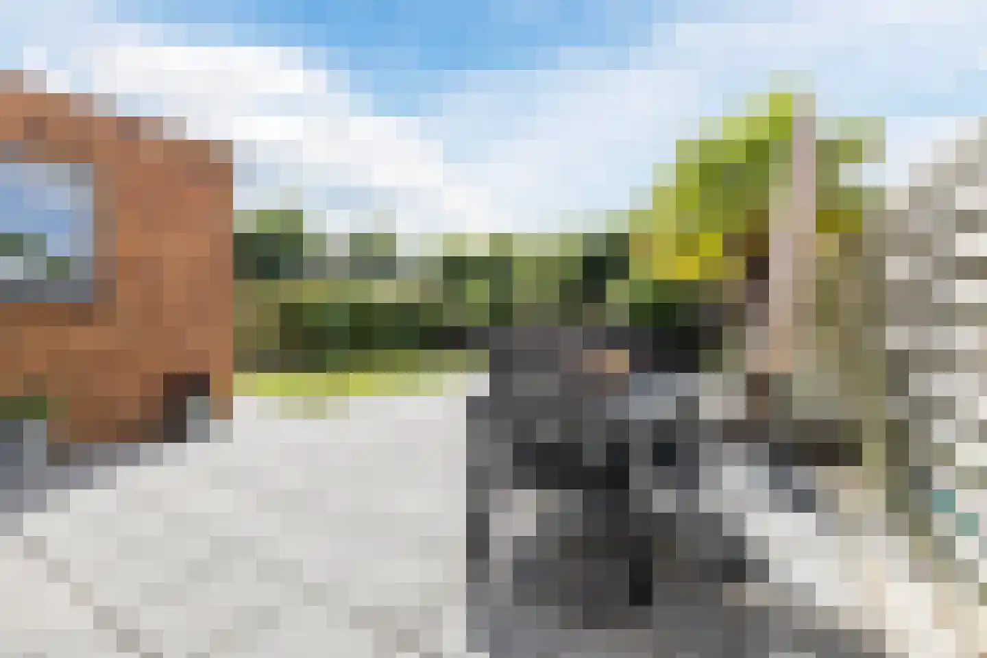Bosrank 55 Assen thumbnail 62