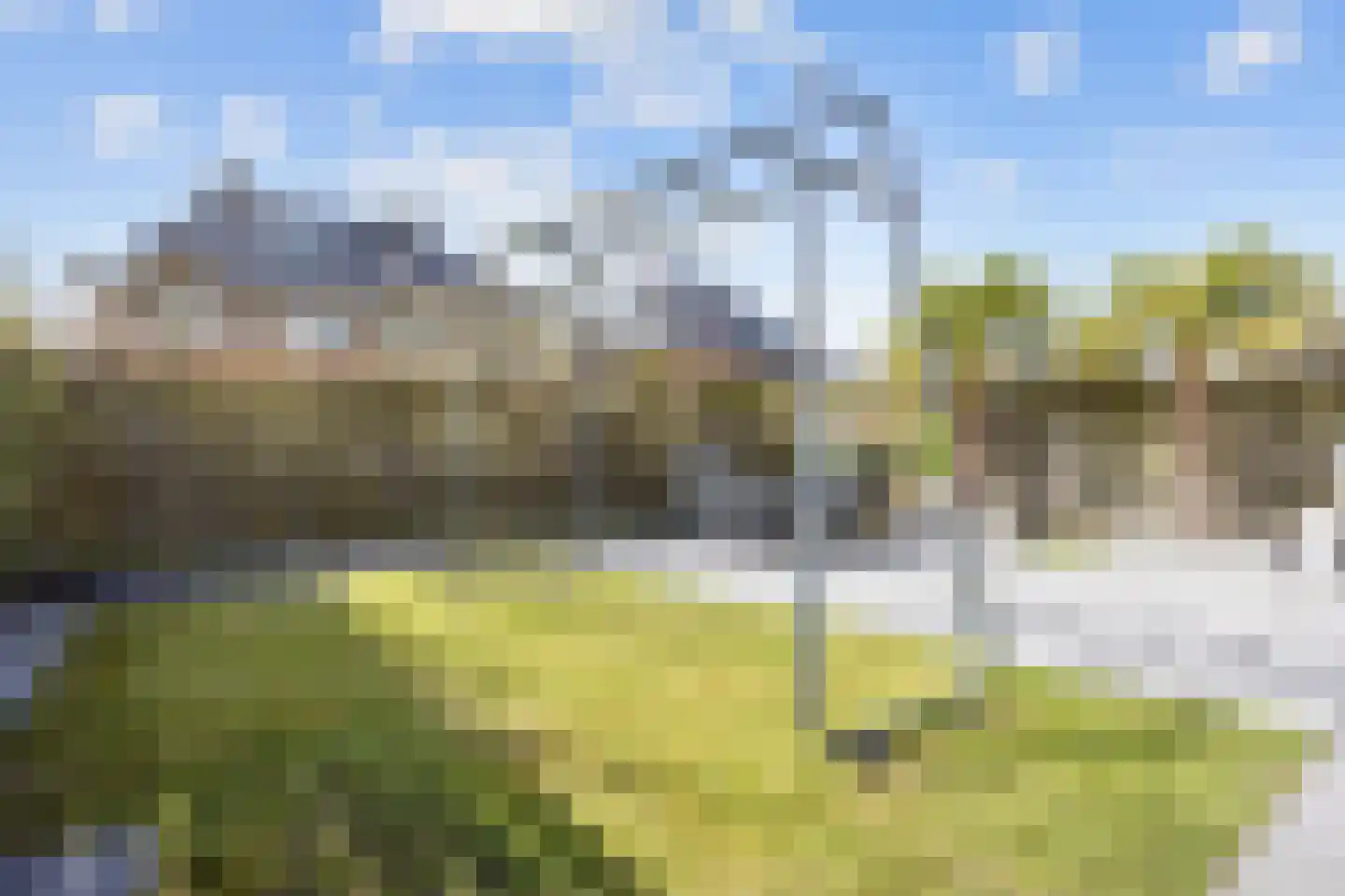 Bosrank 55 Assen thumbnail 62