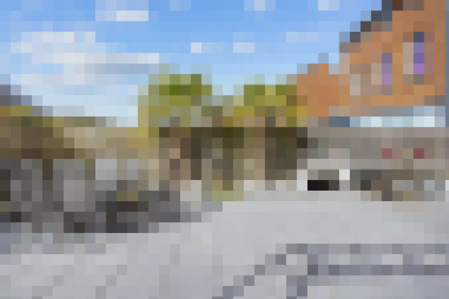 Bosrank 55 Assen thumbnail 63