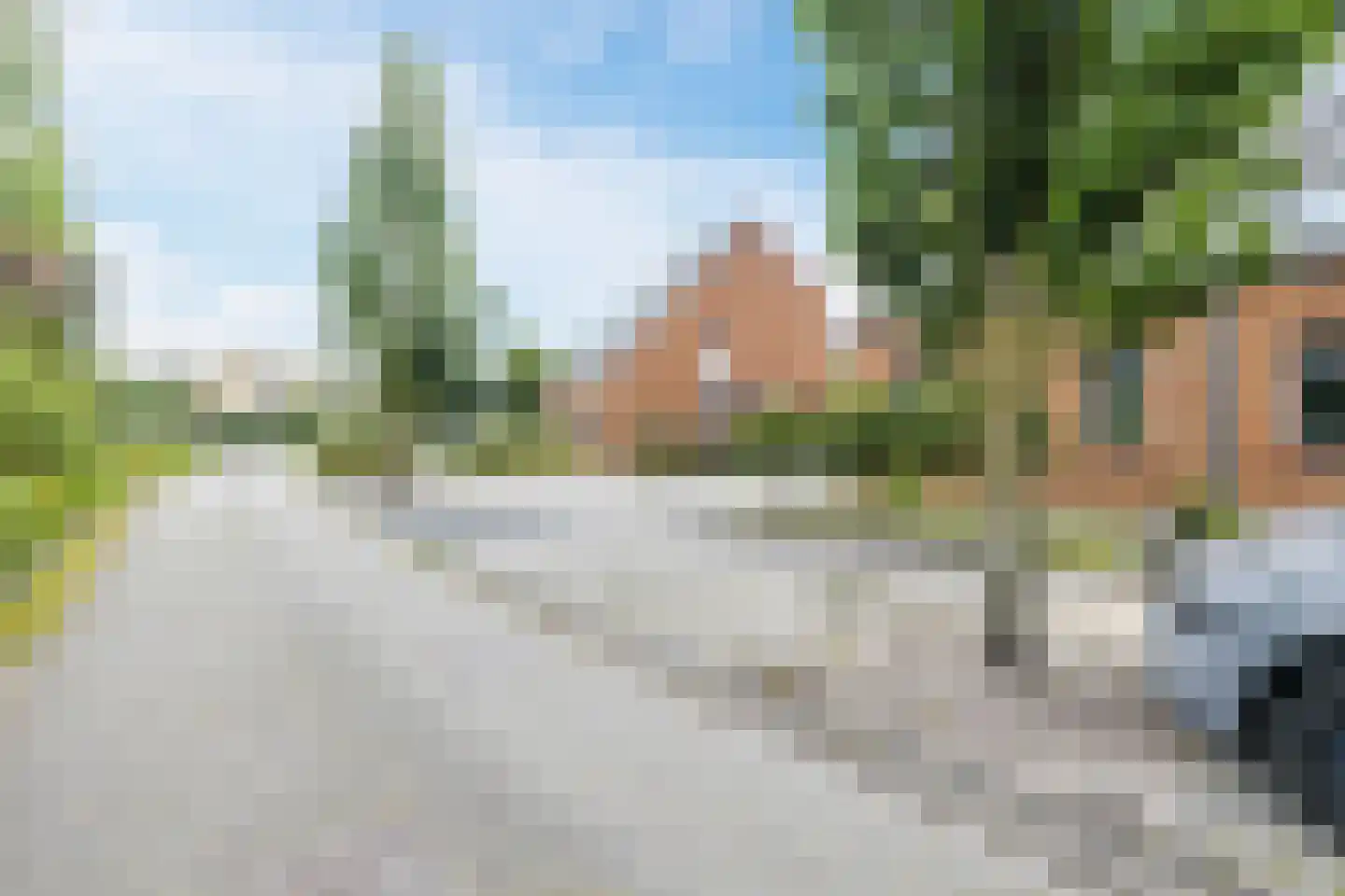 Bosrank 55 Assen thumbnail 64