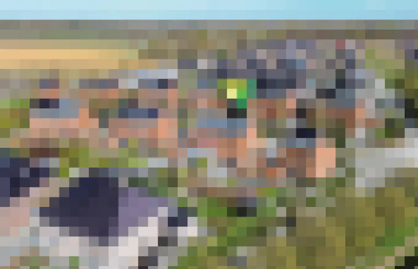Bosrank 55 Assen thumbnail 66