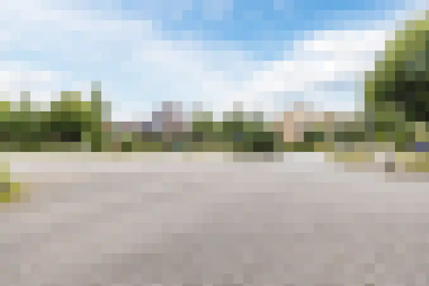Bosrank 55 Assen thumbnail 66
