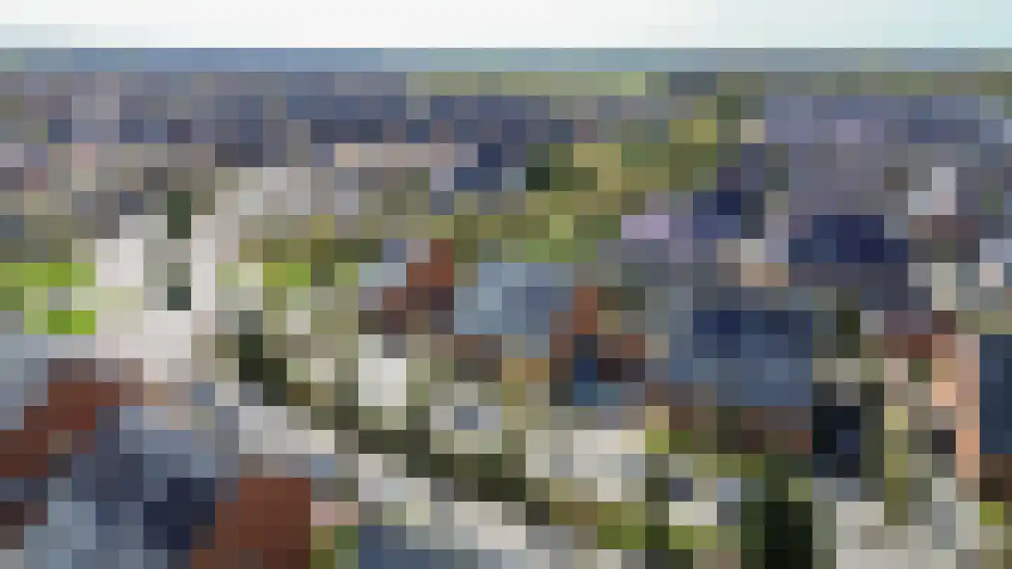 Bosrank 55 Assen thumbnail 68