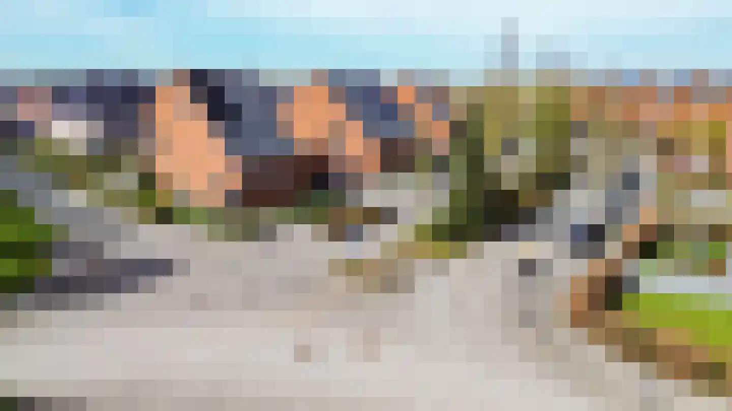 Bosrank 55 Assen thumbnail 70