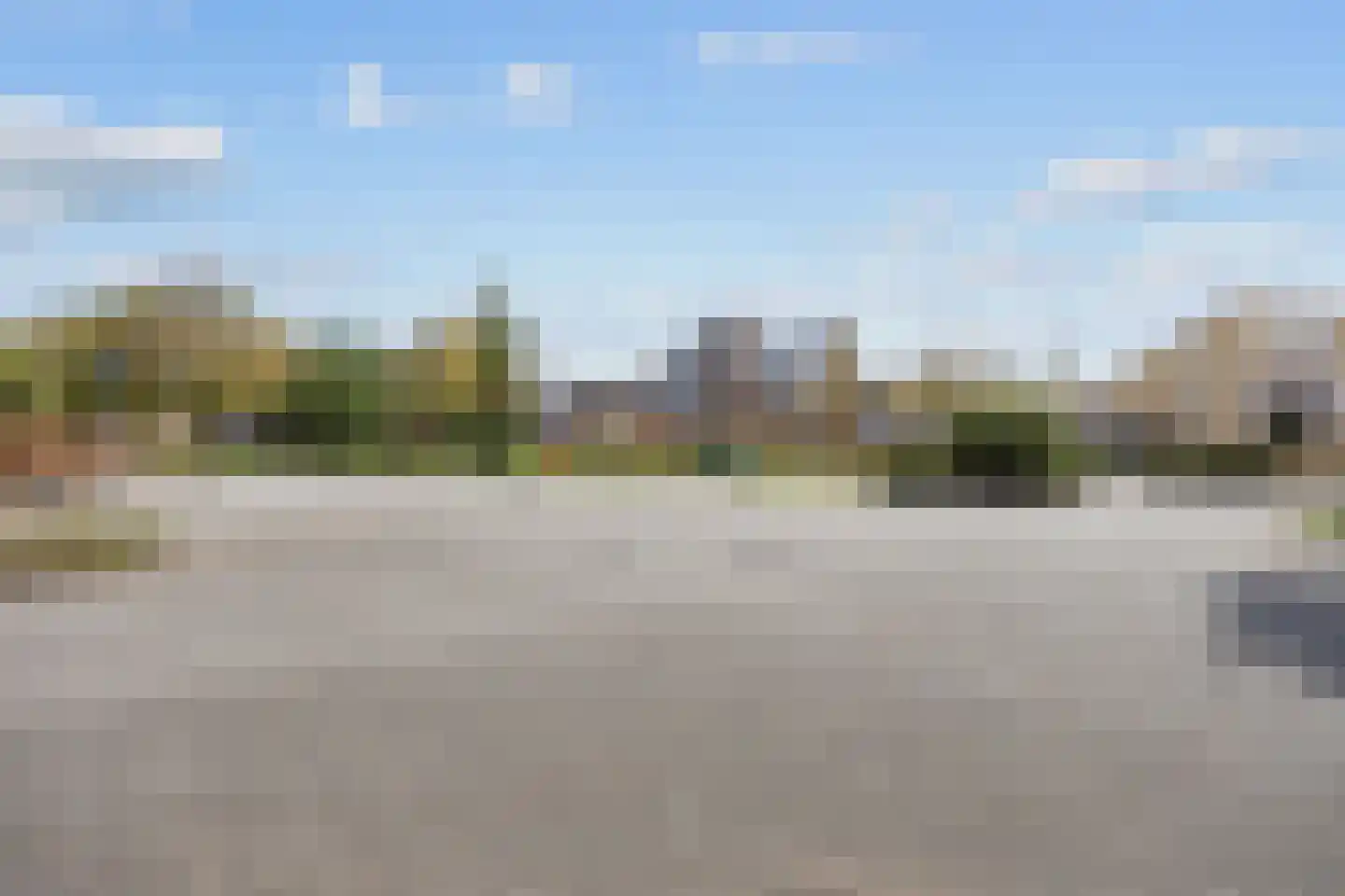 Bosrank 55 Assen thumbnail 9