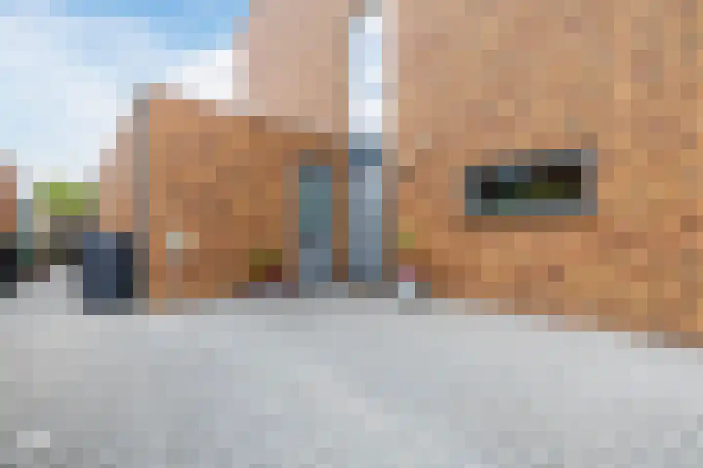 Bosrank 55 Assen thumbnail 9