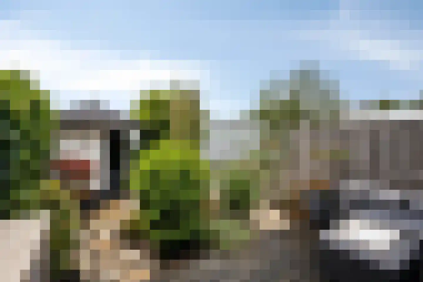 Bosrank 57 Oude Wetering thumbnail 16