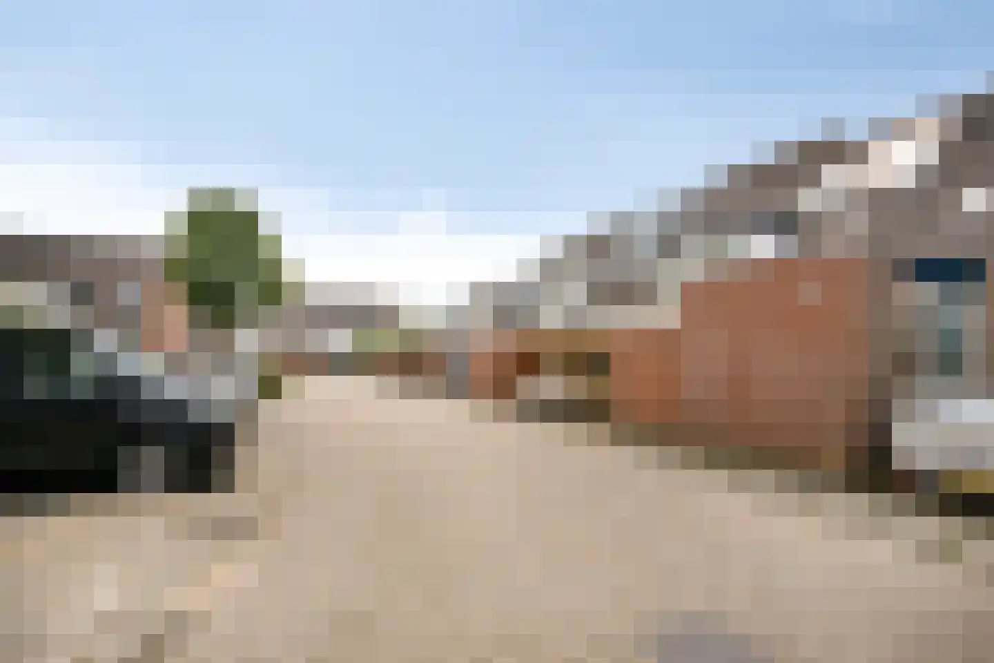 Bosrank 57 Oude Wetering thumbnail 19