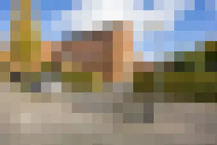 Bosrank 78 Assen thumbnail 10