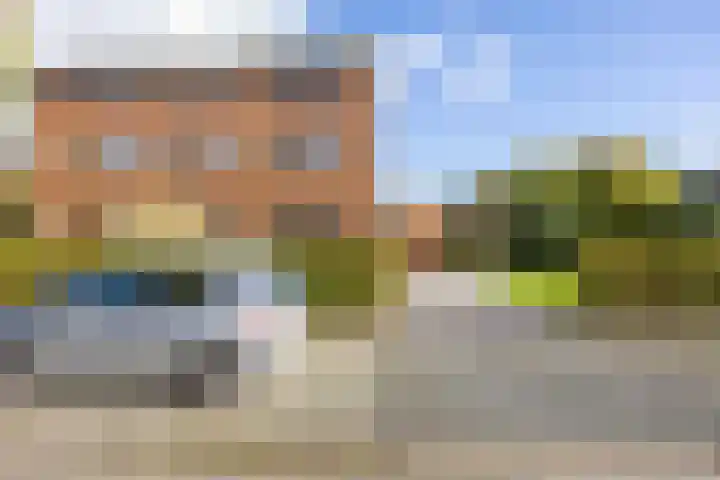 Bosrank 78 Assen thumbnail 11
