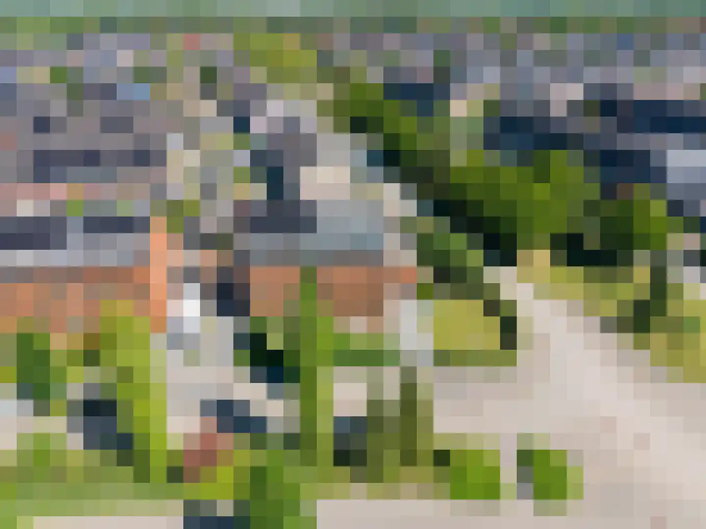 Bosrank 78 Assen thumbnail 12