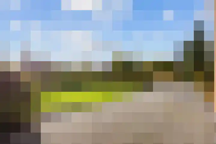Bosrank 78 Assen thumbnail 14