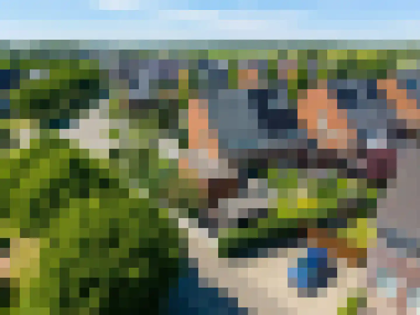 Bosrank 78 Assen thumbnail 14