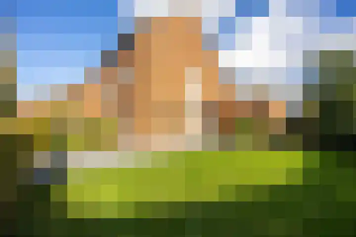Bosrank 78 Assen thumbnail 15