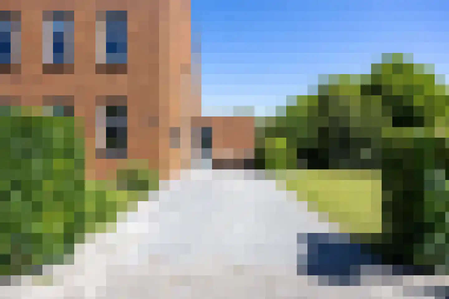 Bosrank 78 Assen thumbnail 17