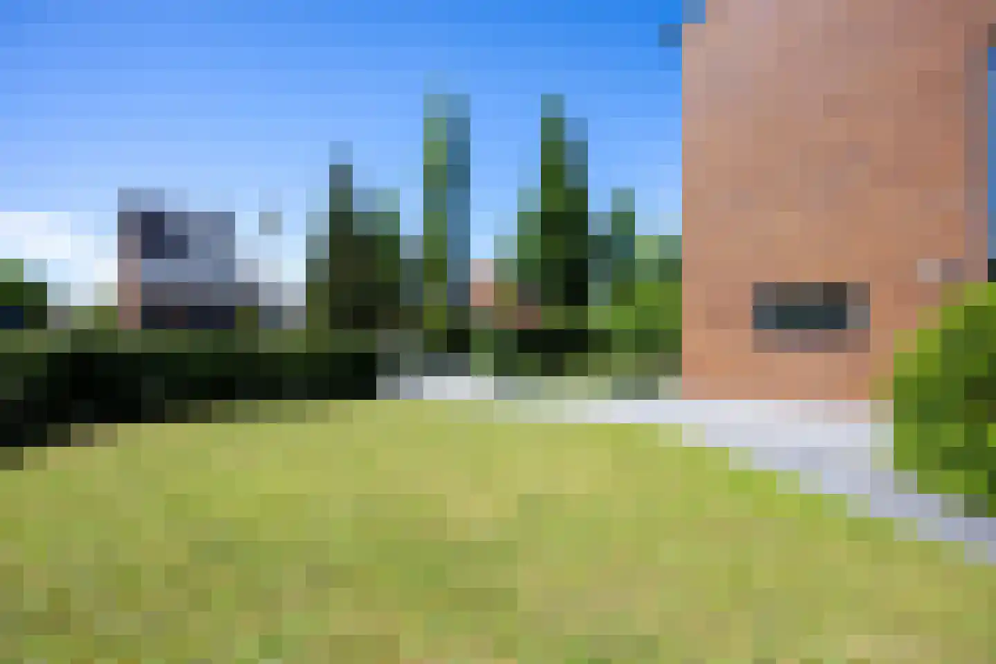Bosrank 78 Assen thumbnail 20