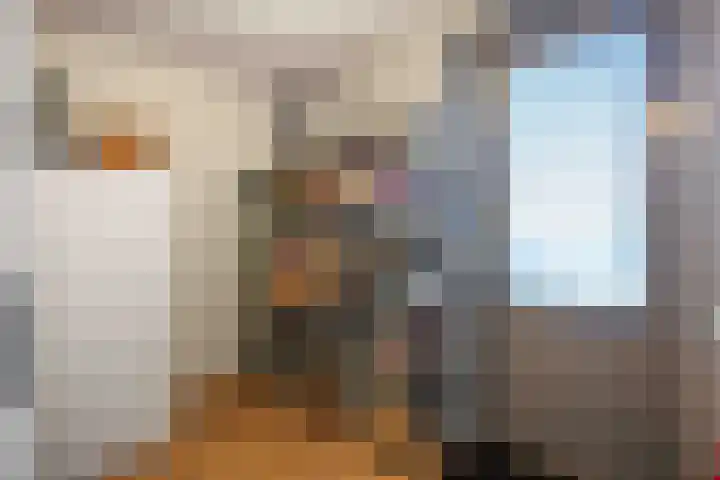 Bosrank 78 Assen thumbnail 29