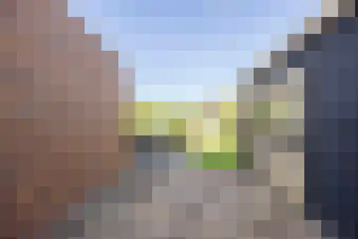 Bosrank 78 Assen thumbnail 55