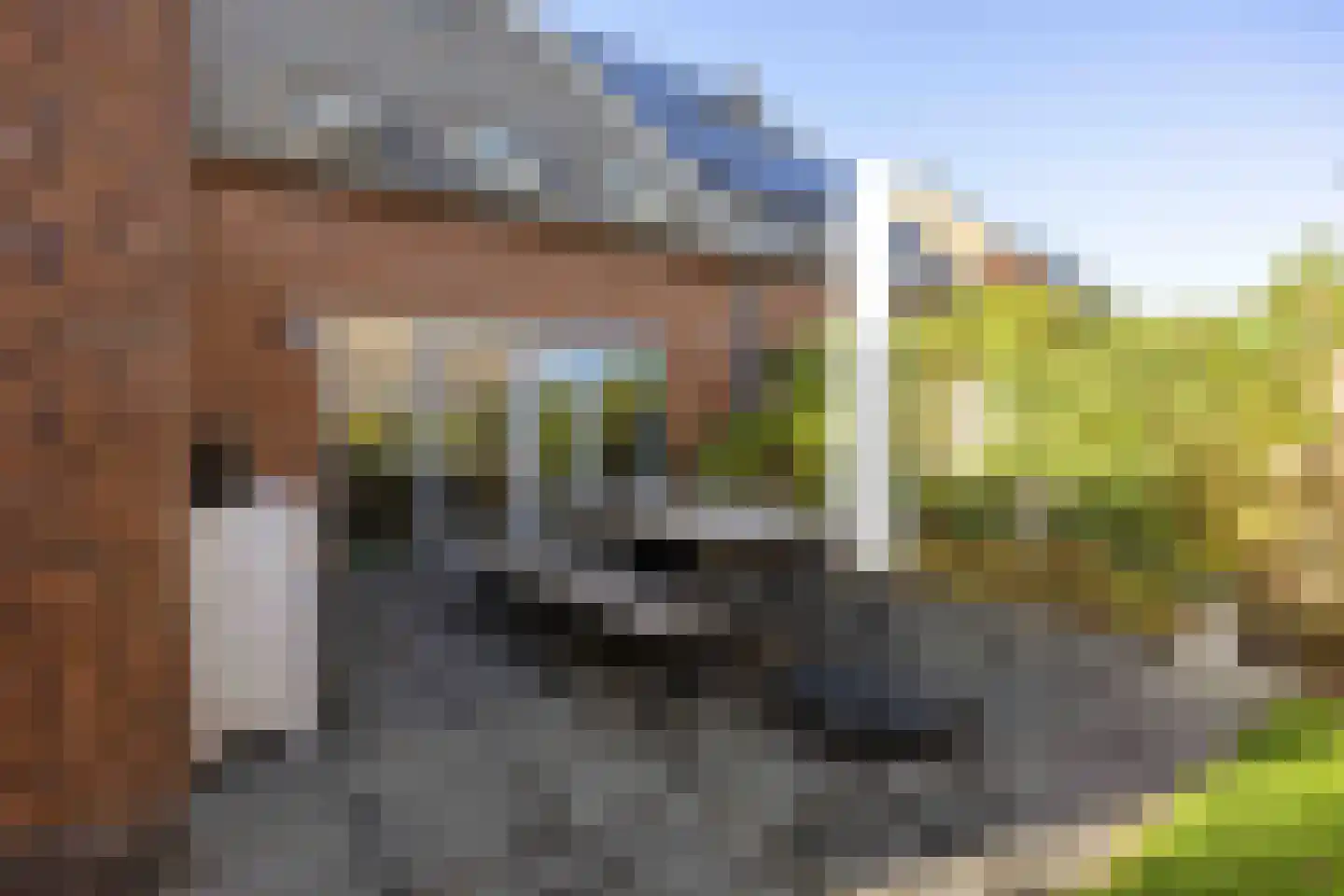 Bosrank 78 Assen thumbnail 56