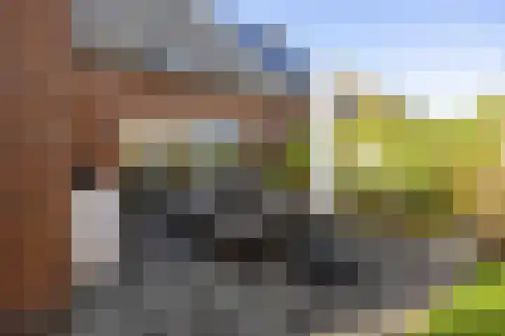 Bosrank 78 Assen thumbnail 56