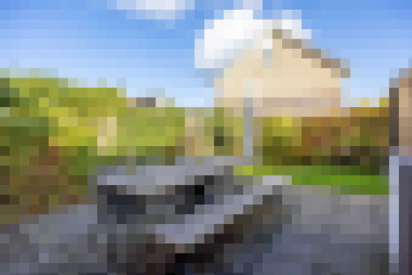 Bosrank 78 Assen thumbnail 57