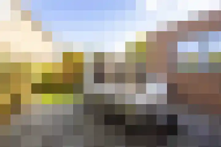 Bosrank 78 Assen thumbnail 6