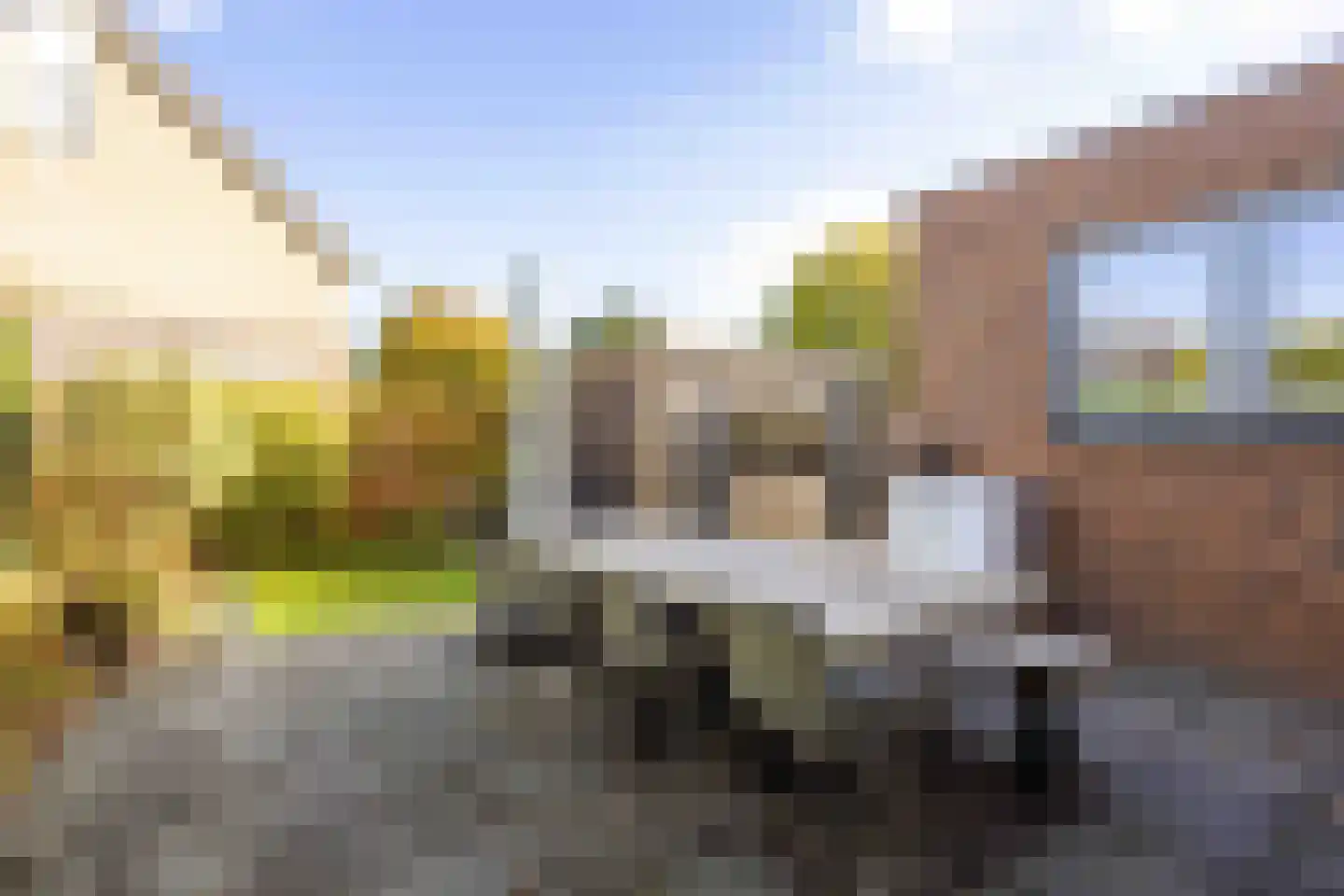 Bosrank 78 Assen thumbnail 6